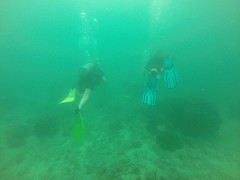 thumb_G0842417_1024
