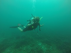 thumb_G0952533_1024