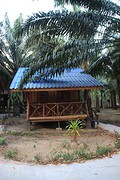 thumb_IMG_8063_1024