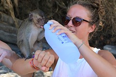 thumb_IMG_8331_1024