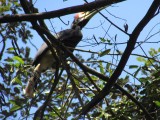 IMG_1746