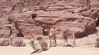 20160711_143116