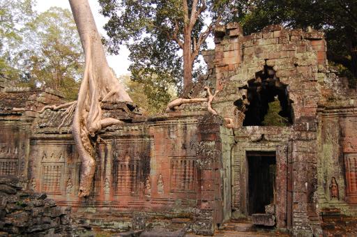 angor wat
