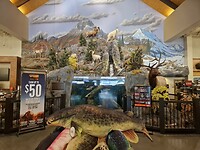 Cabelas