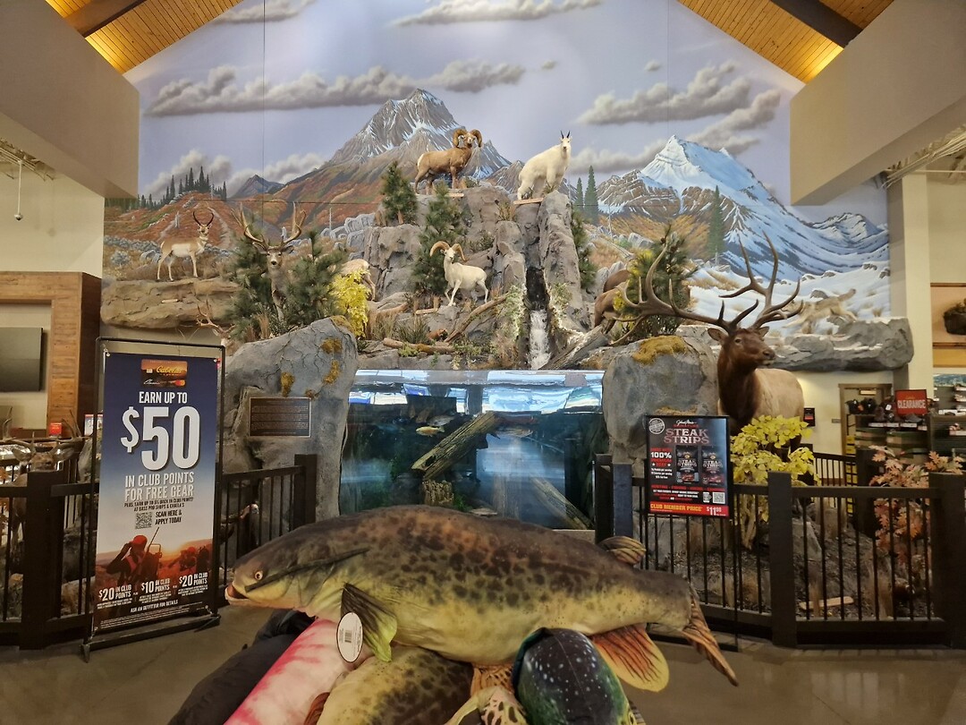 Cabelas