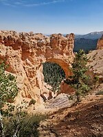 Bryce canyon natural bridge
