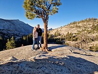 Tioga pass view point