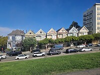 Painted Ladies