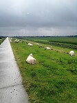 IMG_20210822_113919