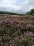 IMG_20210823_101235