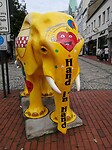 IMG_20210825_162938