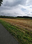 IMG_20210826_130543
