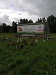 IMG_20210828_142613