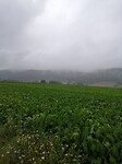 IMG_20210829_122057