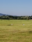 IMG_20210904_111456
