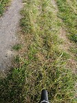 IMG_20210907_132748