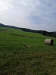 IMG_20210907_104915
