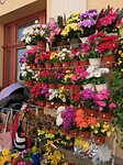 IMG_20210908_145610