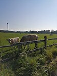 IMG_20210908_091007