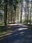 IMG_20210909_093430