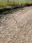 IMG_20210909_103249