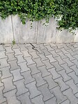 IMG_20210910_101710