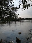 IMG_20210911_105324