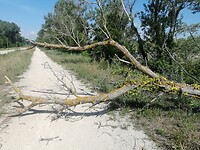 IMG_20230604_105254