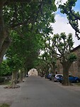IMG_20230604_143633