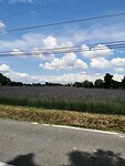 IMG_20230604_122702