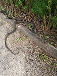 IMG_20230606_183701