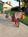 IMG_20230606_065757