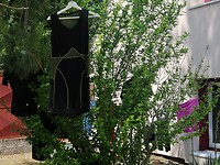 IMG_20230607_145306