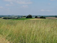 IMG_20230607_112141
