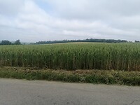 IMG_20230607_100829