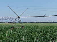 IMG_20230608_093112
