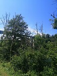 IMG_20230608_131117