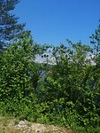 IMG_20230608_125256