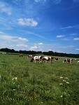 IMG_20230609_122436
