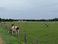 IMG_20230610_093235