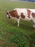 IMG_20230610_093250