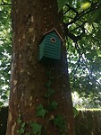 IMG_20230611_142313