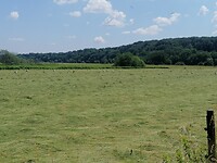 IMG_20230611_125233