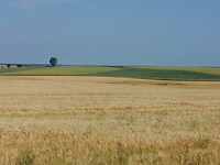 IMG_20230611_085750