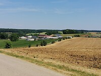 IMG_20230612_141459