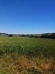 IMG_20230613_121632