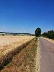 IMG_20230614_132021