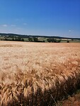 IMG_20230614_132017