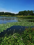 IMG_20230620_130331