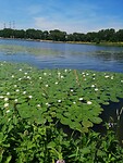 IMG_20230620_130326
